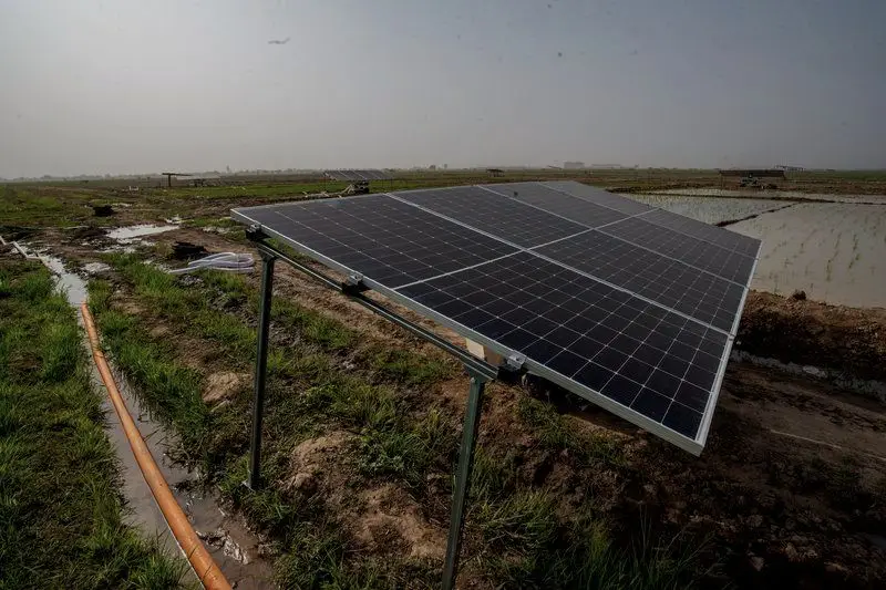 Close view of a monocrystalline solar module on a pole mount powering irrigation in a Nigerian rice field